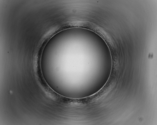 X0000103170586200808221237