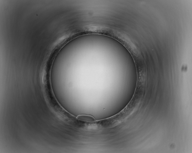 X0000103170587200808221237