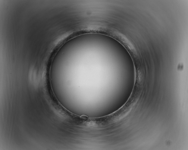 X0000103170588200808221237