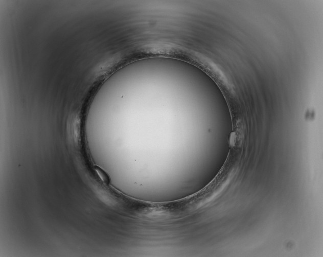 X0000103170589200808221237