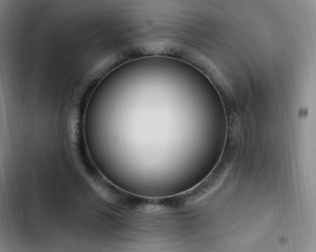 X0000103170590200808221237