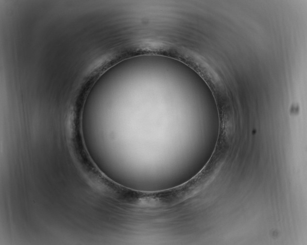 X0000103170591200808221236