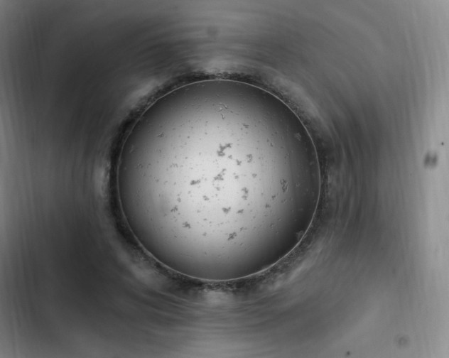 X0000103170592200808221236