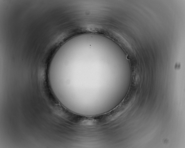 X0000103170595200808221236