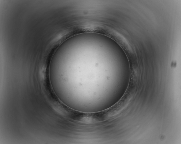 X0000103170596200808221236