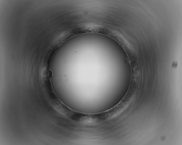 X0000103170597200808221236