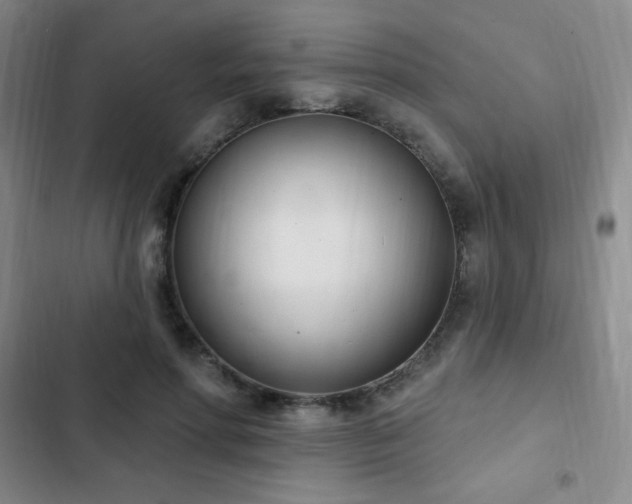 X0000103170598200808221236