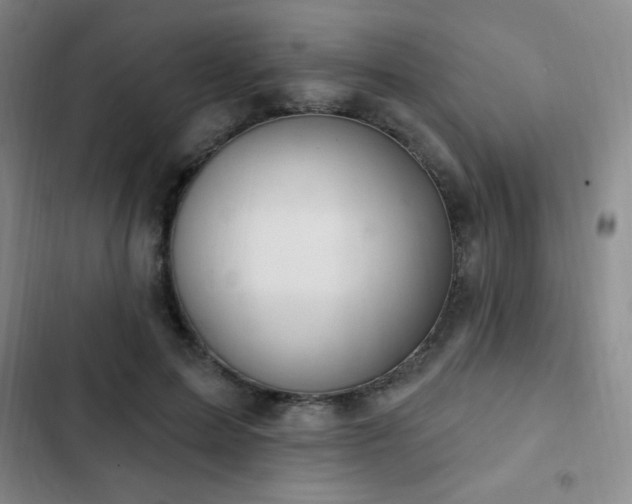 X0000103170599200808221236