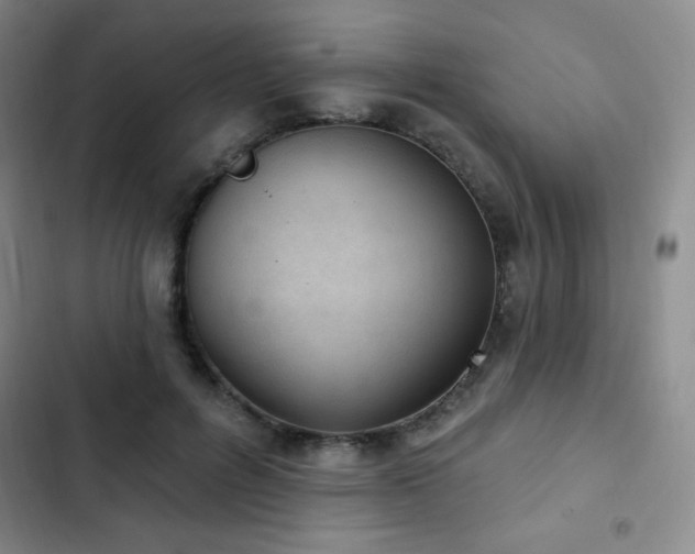 X0000103170600200808221236