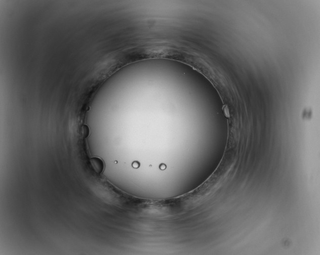 X0000103170601200808221236