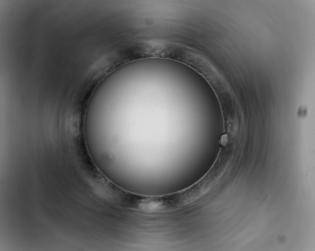 X0000103170602200808221236