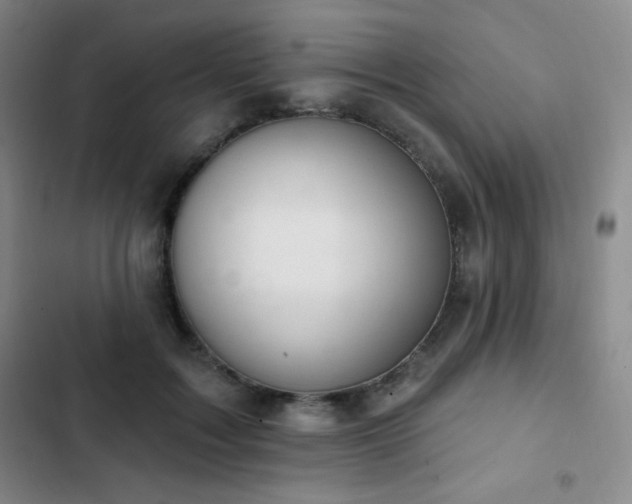 X0000103170603200808221236