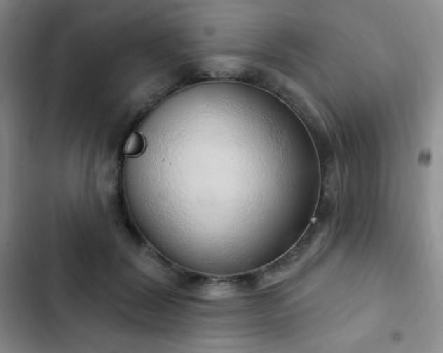 X0000103170604200808221236