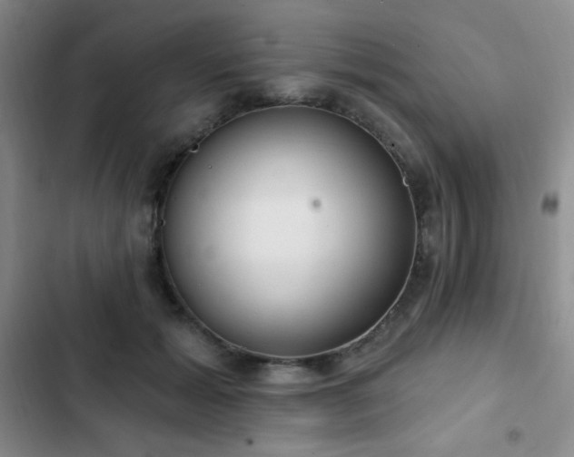 X0000103170605200808221236