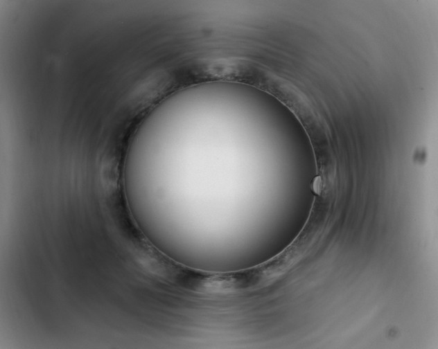 X0000103170606200808221236