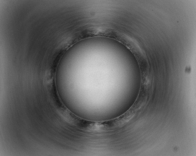 X0000103170607200808221236