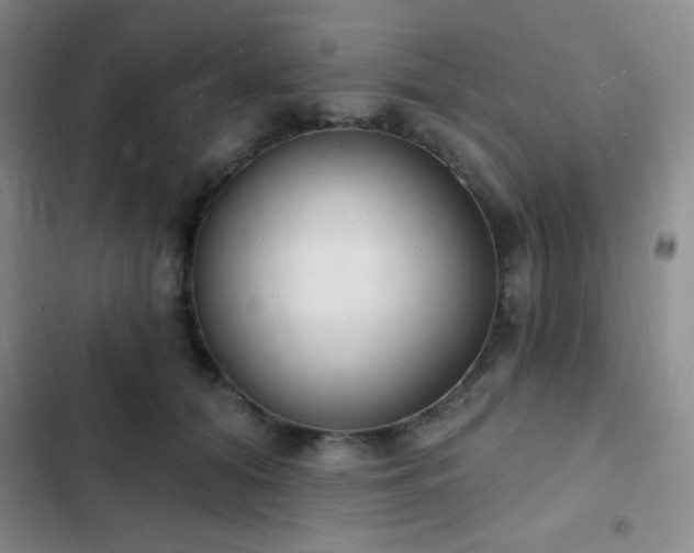 X0000103170608200808221236