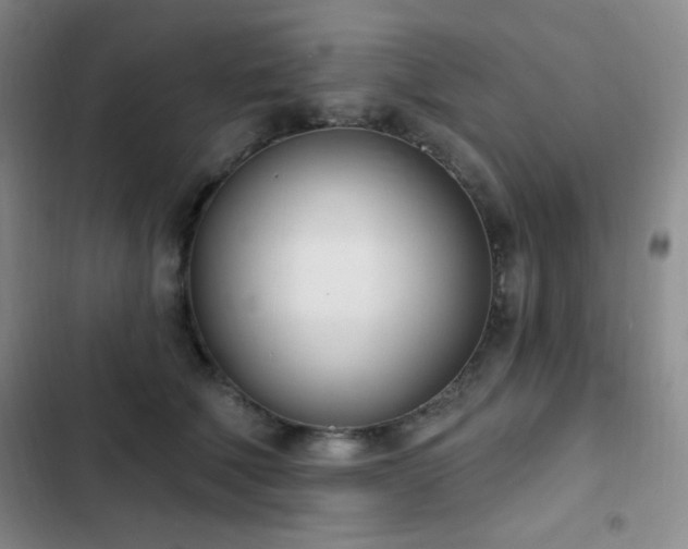 X0000103170610200808221236