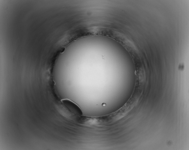 X0000103170611200808221236