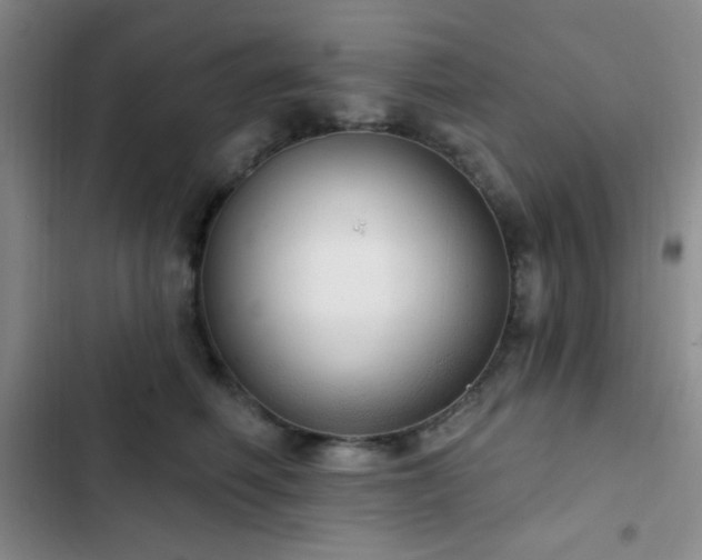 X0000103170614200808221236