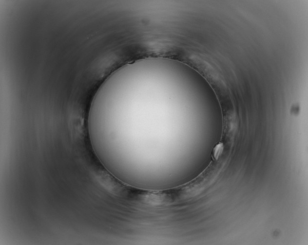 X0000103170615200808221236