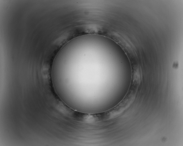 X0000103170616200808221236