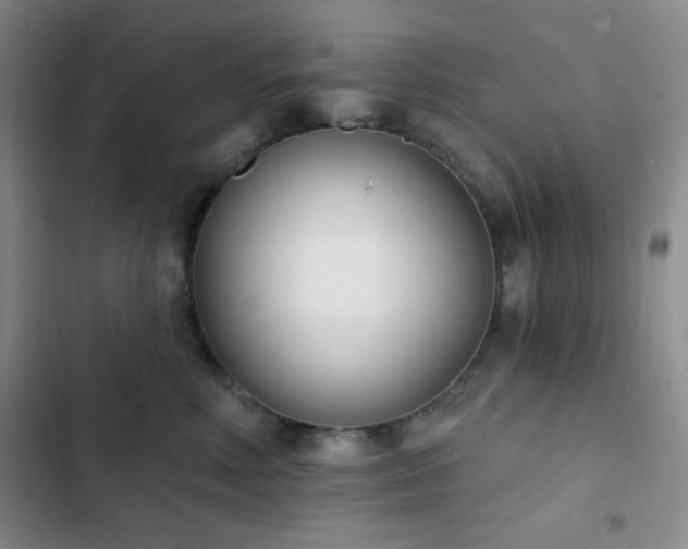 X0000103170618200808221236