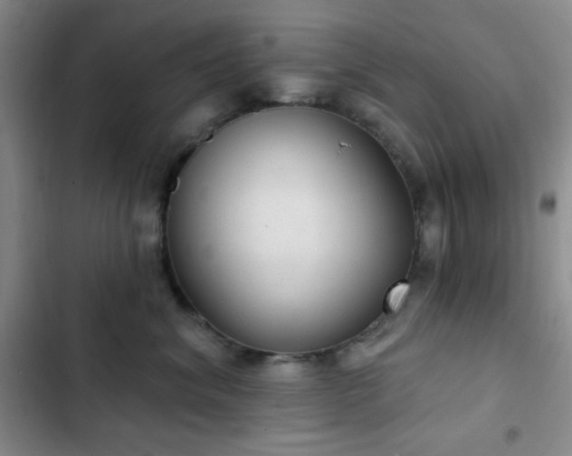 X0000103170620200808221236