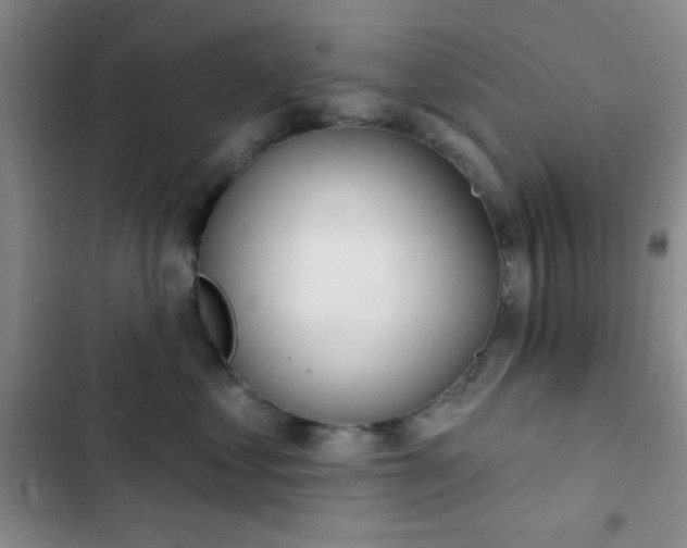 X0000103170621200808221236