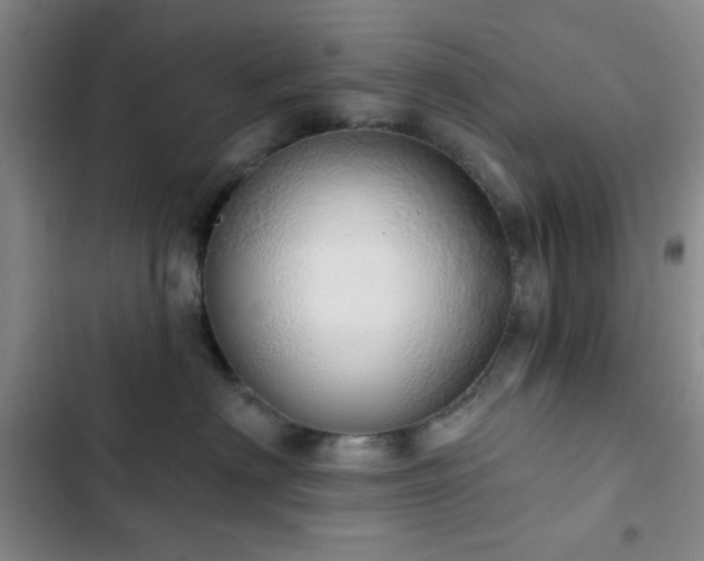 X0000103170622200808221236