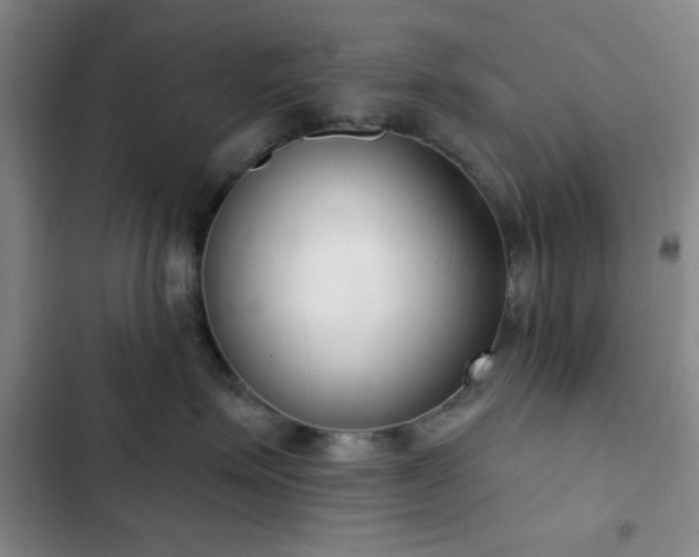 X0000103170623200808221236