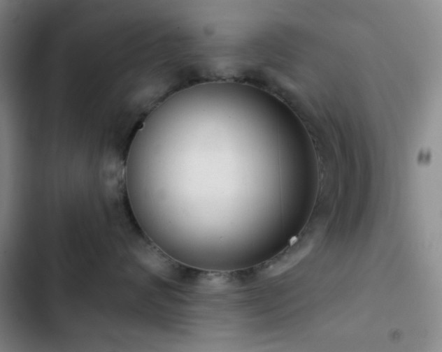 X0000103170624200808221236