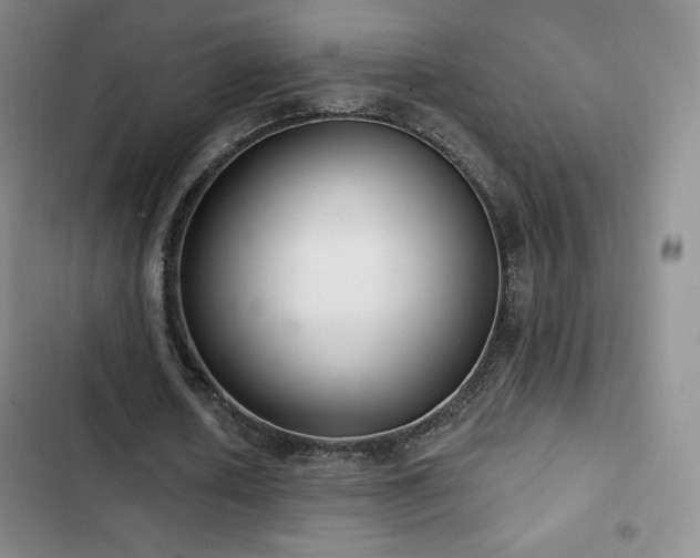 X0000103170626200808221235