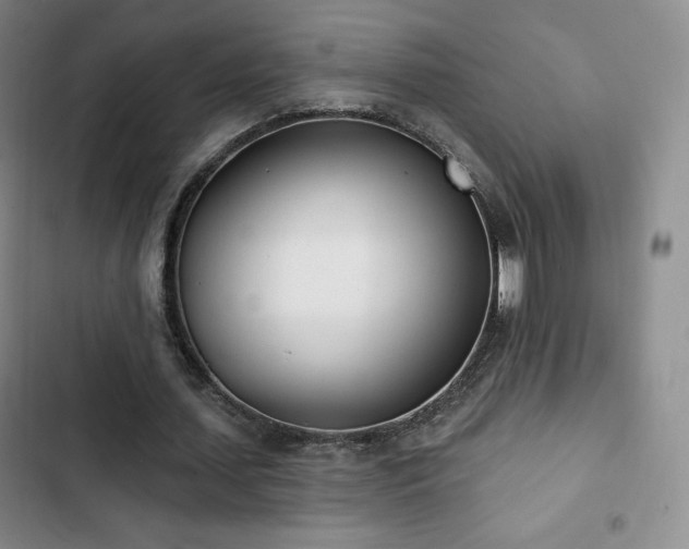 X0000103170627200808221235