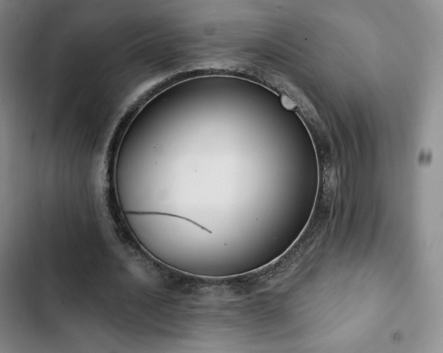 X0000103170628200808221235