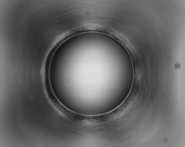 X0000103170630200808221235