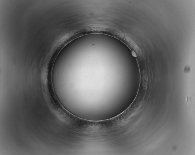 X0000103170631200808221235