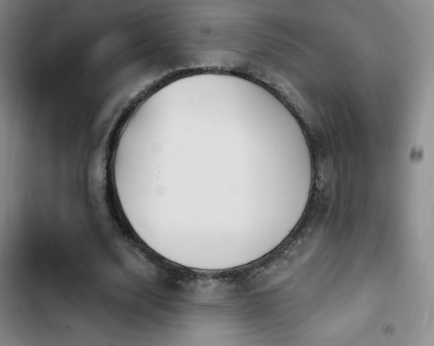 X0000103170632200808221235