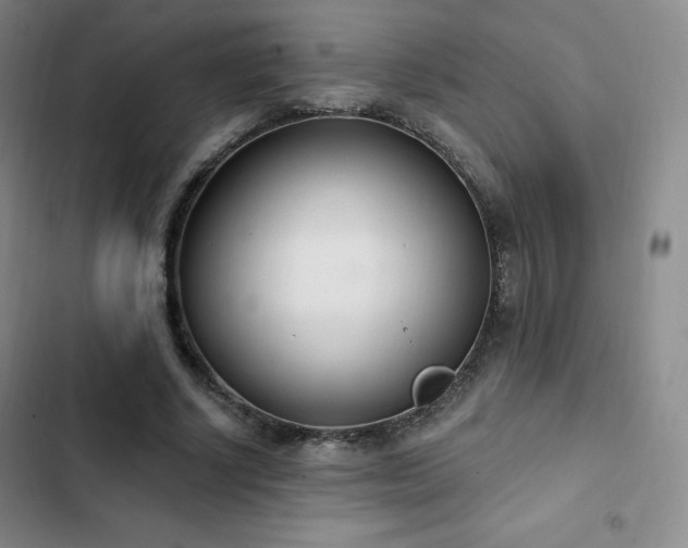 X0000103170634200808221235