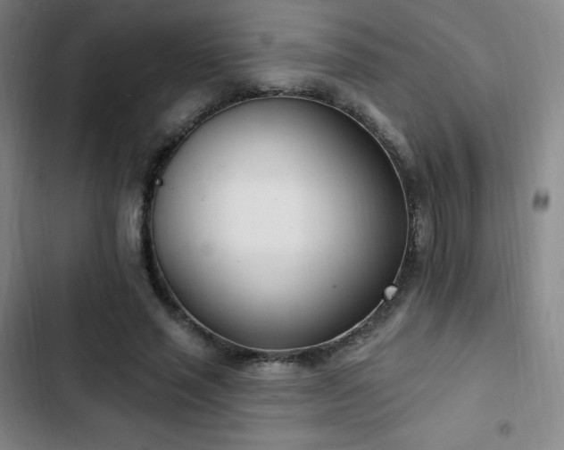 X0000103170637200808221235