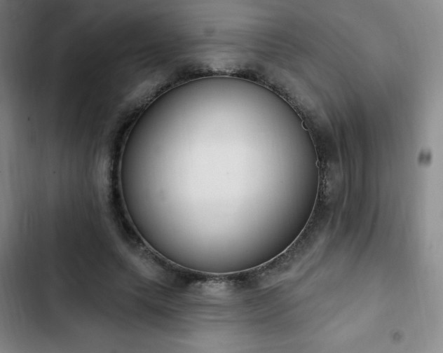 X0000103170639200808221235