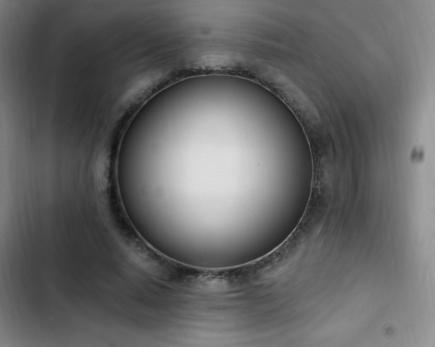 X0000103170640200808221235