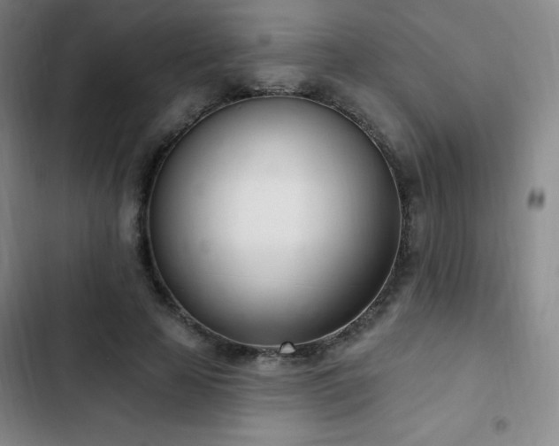 X0000103170641200808221235