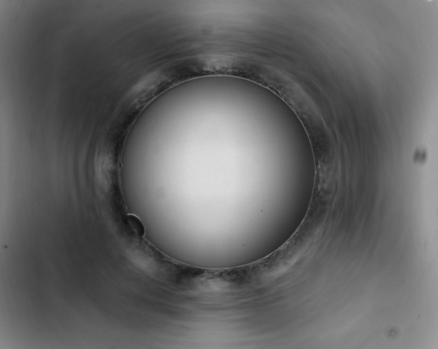 X0000103170648200808221236