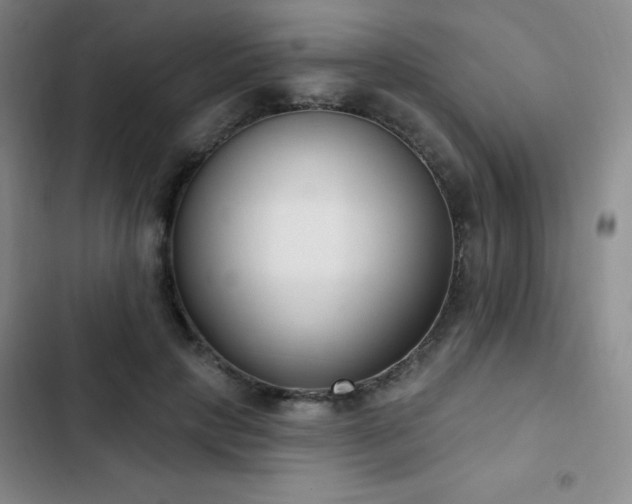 X0000103170649200808221236