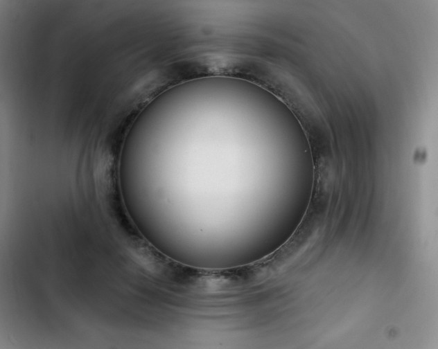 X0000103170650200808221236