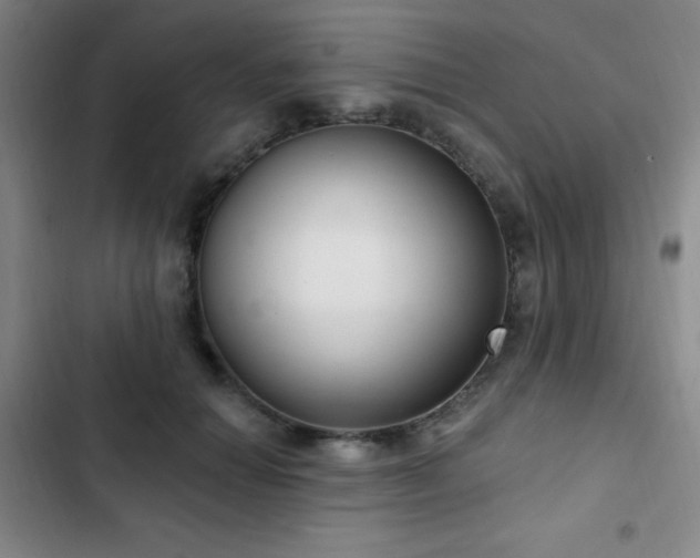 X0000103170654200808221236