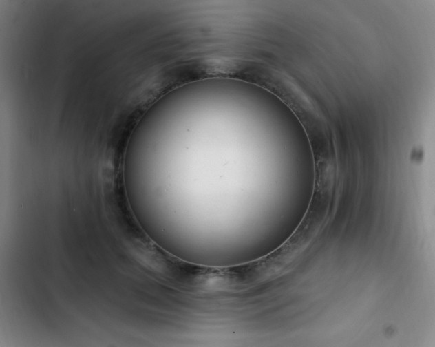 X0000103170655200808221236