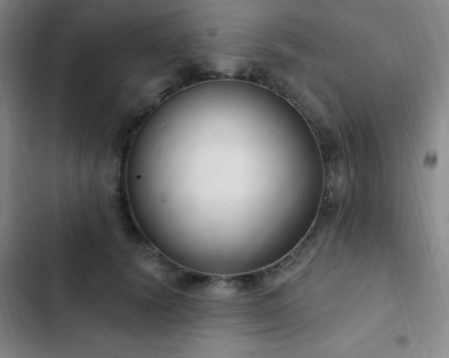 X0000103170656200808221236