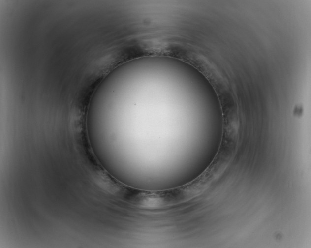 X0000103170658200808221236